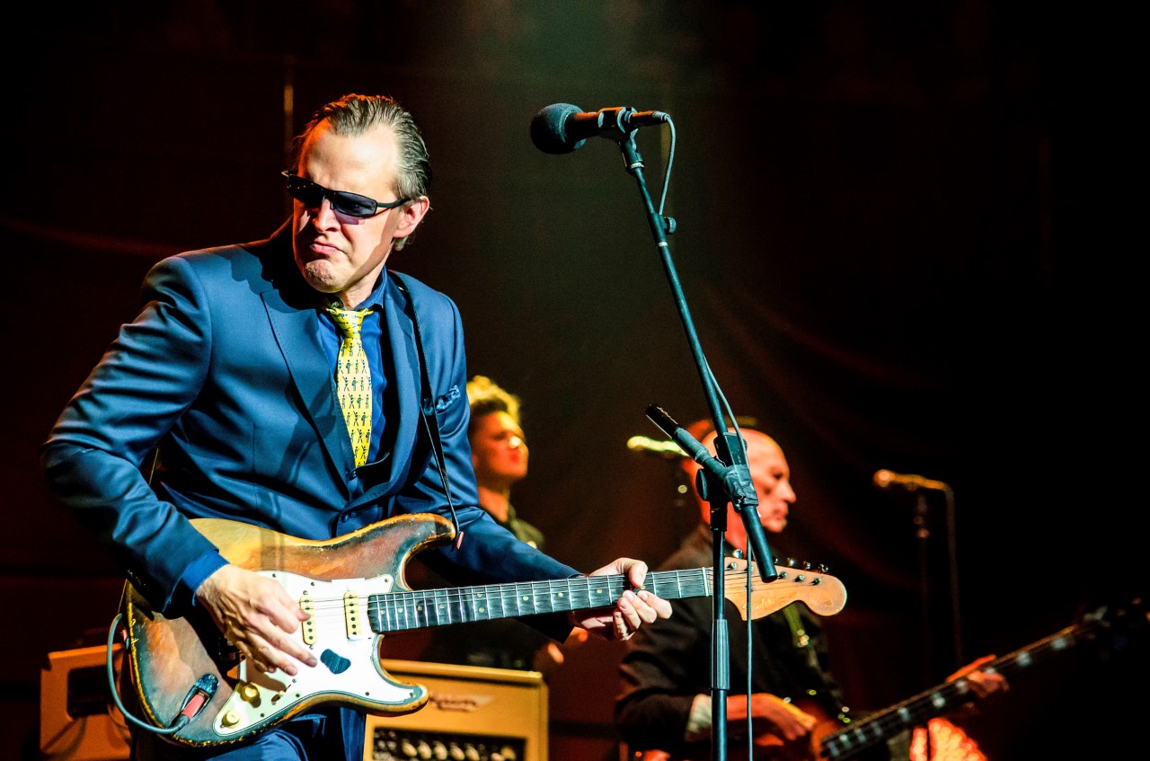 image Joe Bonamassa at The Royal Albert Hall, London by Edyta Krzesak