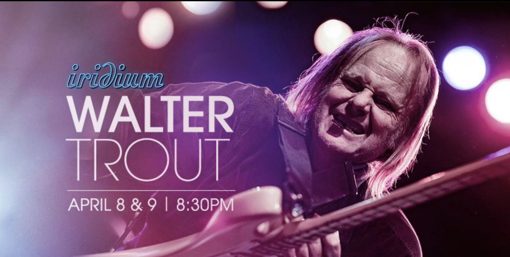image of advert for walter trout at the iridium new york