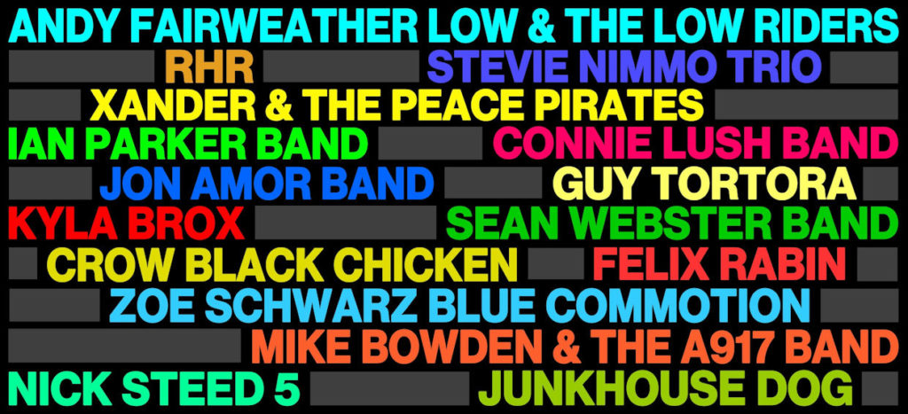 image of artist names performing at carlisle blues rock festival 2019