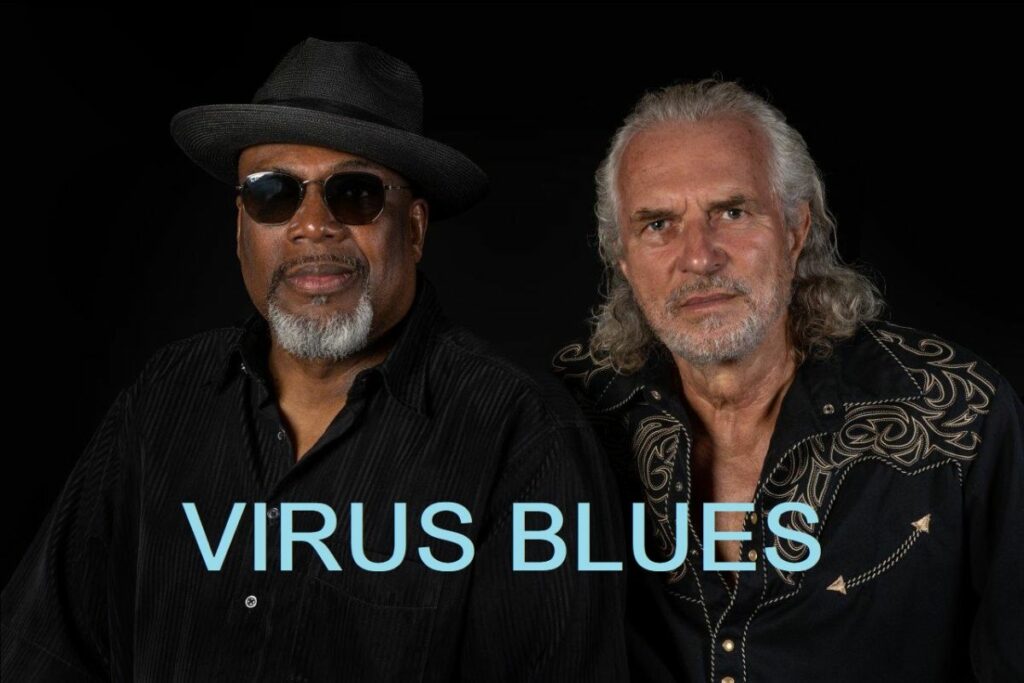 VIRUS BLUES - Hans Theessink & Big Daddy Wilson