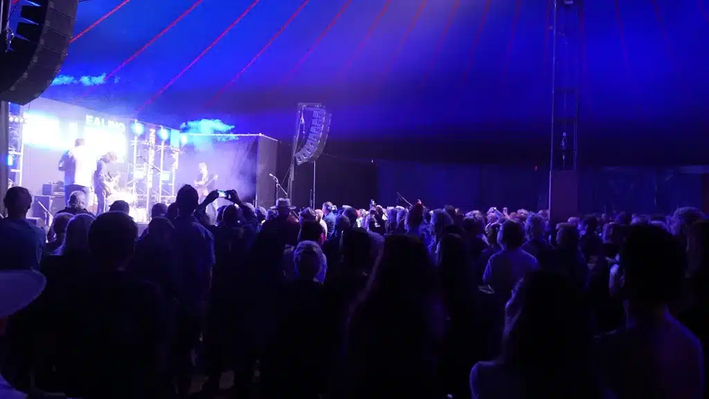 Image of the crowd at Ealing Blues Festival